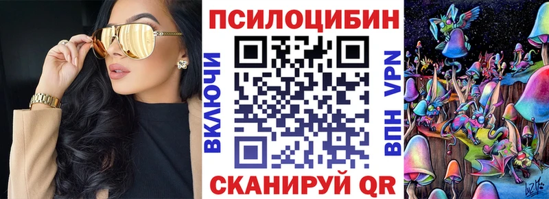 закладки  Сорочинск  дарк нет Telegram  Псилоцибиновые грибы Magic Shrooms 